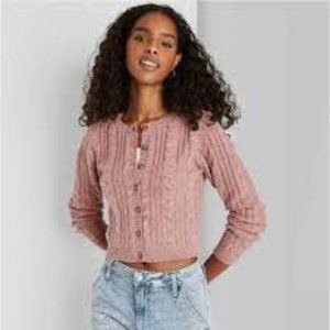 Wild Fable Sweater Dark Rose Button Cardigan